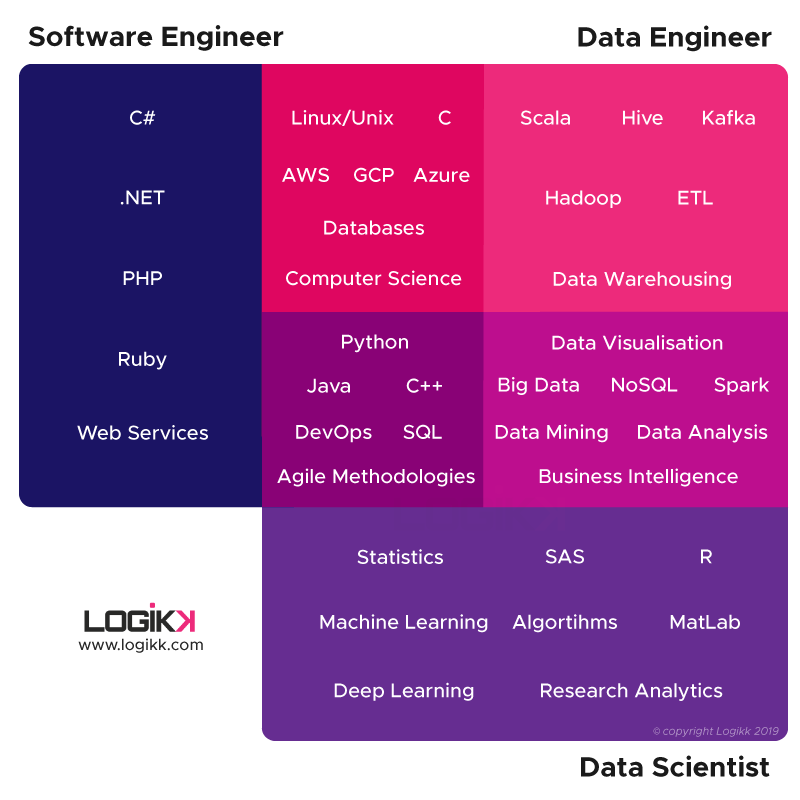 Data Skills Infographic